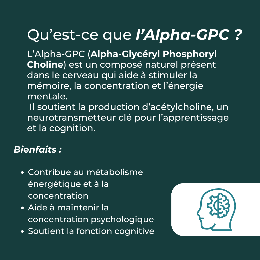 Alpha GPC avantages