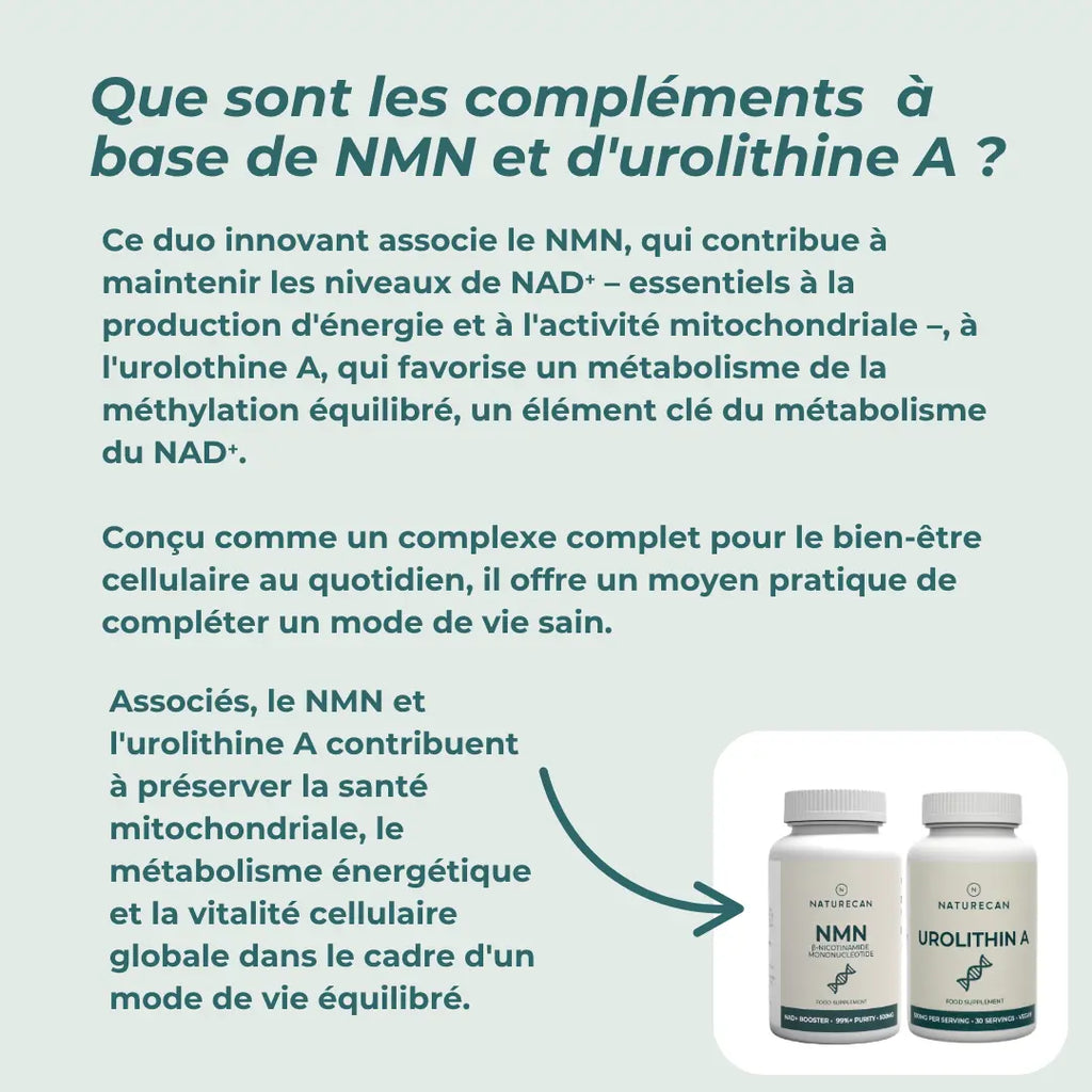 Coffret Compléments Mitochondriaux