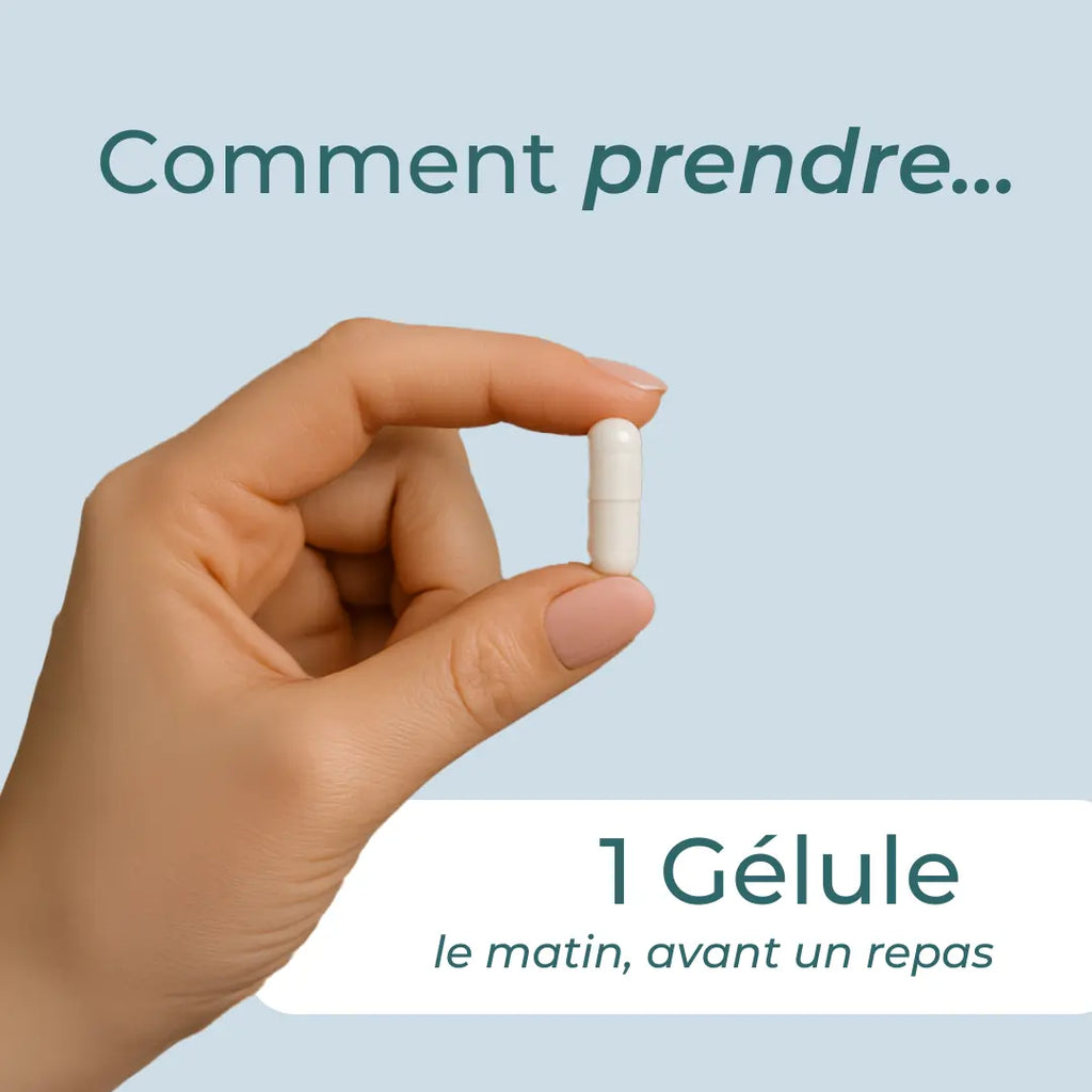 Supplément de gingembre biologique