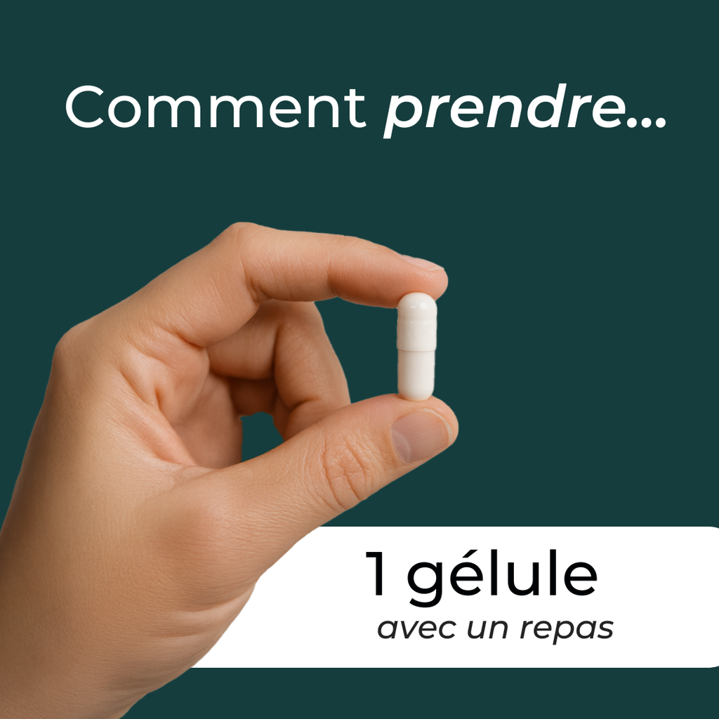 Alpha GPC dosage