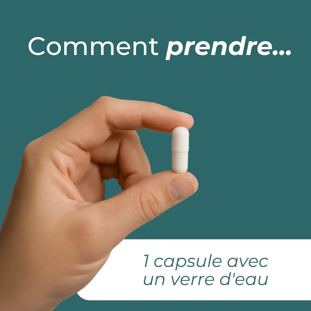 Capsules d’apigénine