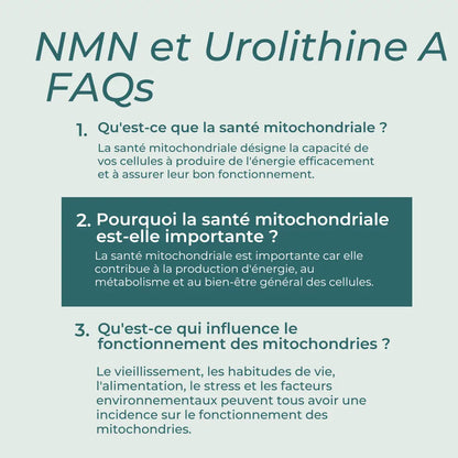 Coffret Compléments Mitochondriaux