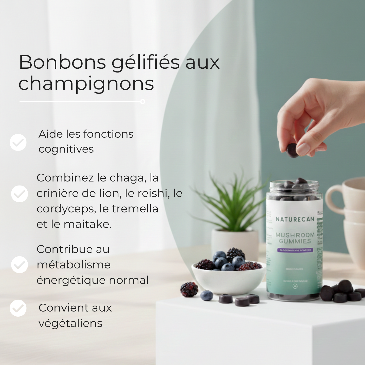 gummies Chaga, crinière de lion, Reishi