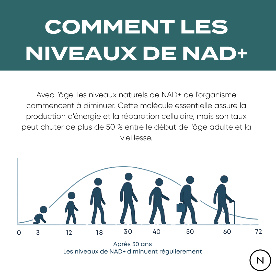 NAD NR