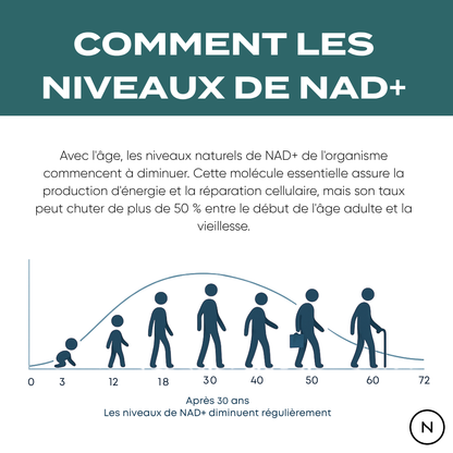 NAD NR