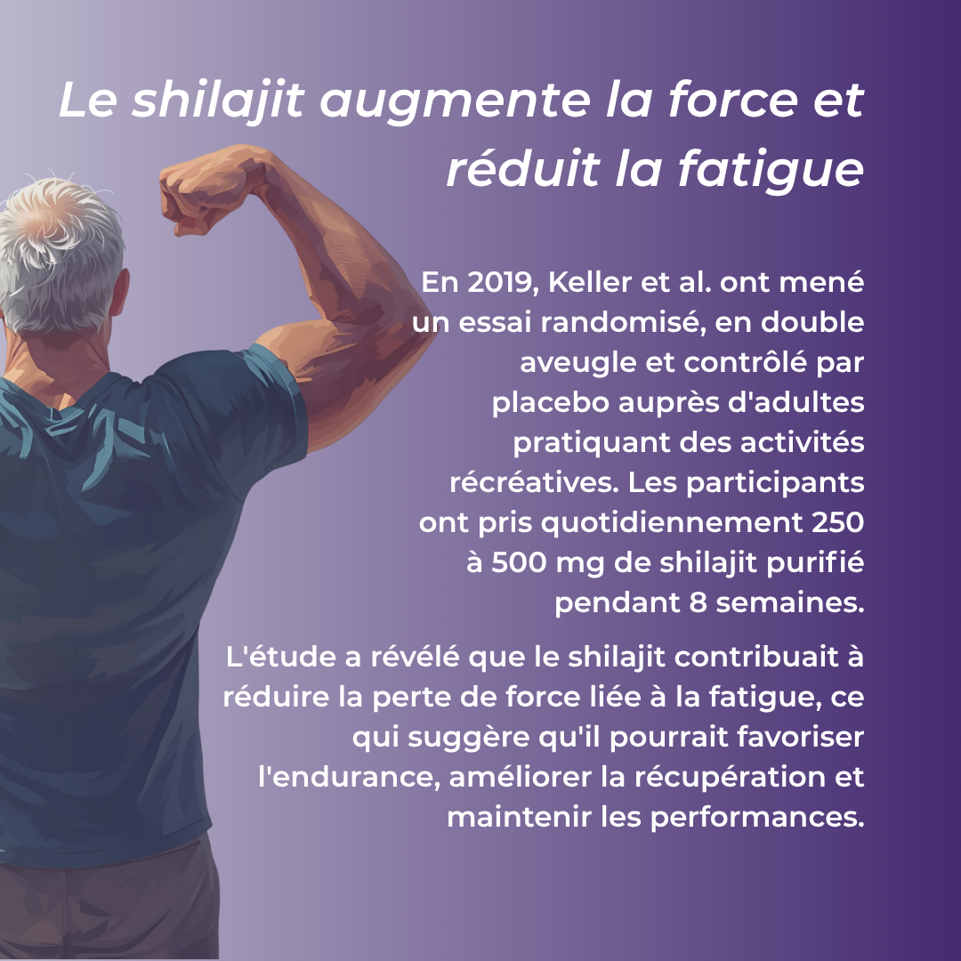 shilajit pour la force