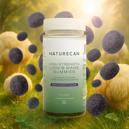 Bonbons Crinière de Lionnaturecan