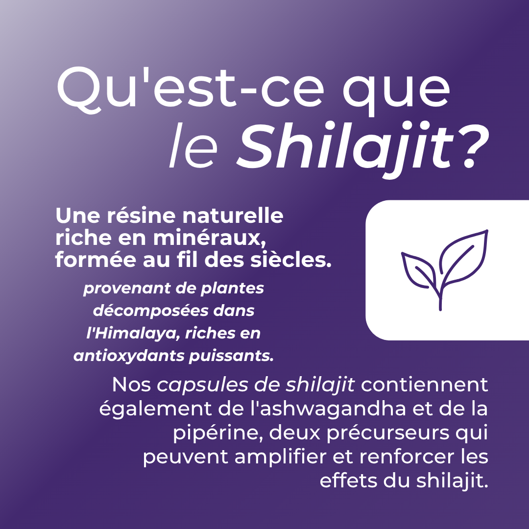  qu'est-ce que le shilajit