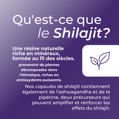  qu'est-ce que le shilajit