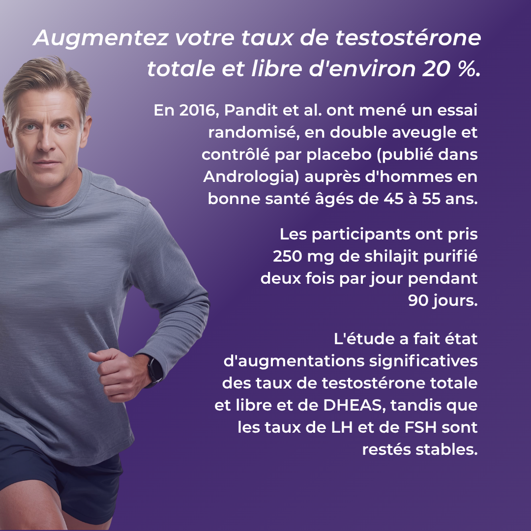 shilajit testostérone